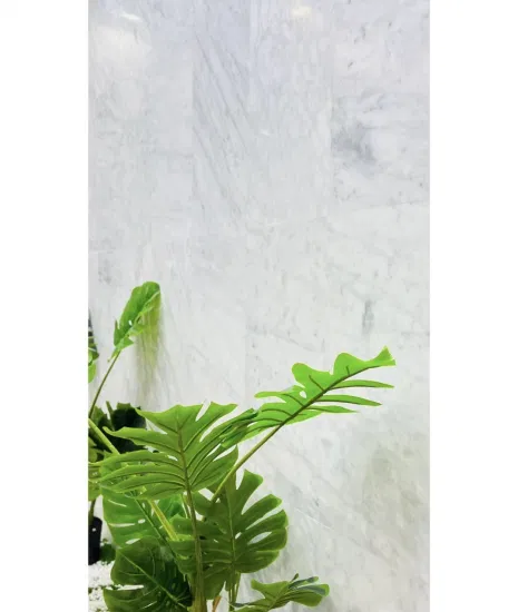 Natural White Carrara Marble for Kitchenbathroom Countertops Stone Sink Interior Outer Wall Home Decoration
